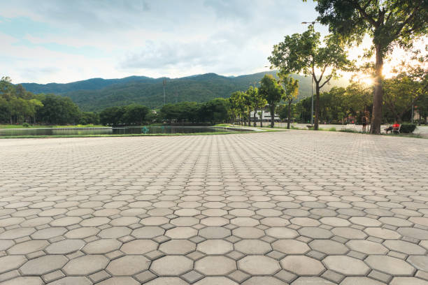 Best Paver Driveway Replacement  in Three Lakes, WA
